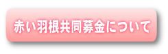 赤い羽根共同募金について